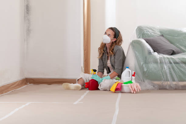 Reliable Black Mold Removal contractor in Leander, TX by WQB Mold Removal